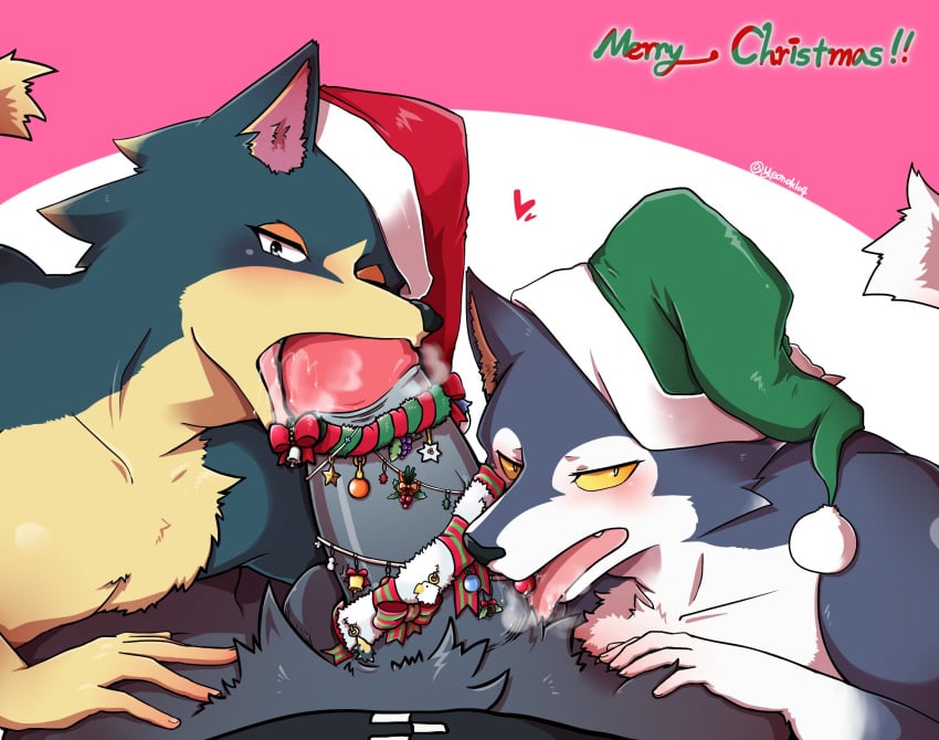 animal_crossing anthro apollo_(animal_crossing) avian bald_eagle bird canine christmas clothing eagle erection fellatio group group_sex holidays interspecies licking lobo_(animal_crossing) male mammal nintendo ohjing1004 oral penis sex threesome tongue tongue_out two_subs_one_dom video_games wolf wolfgang_(animal_crossing) yaoi yeonok104