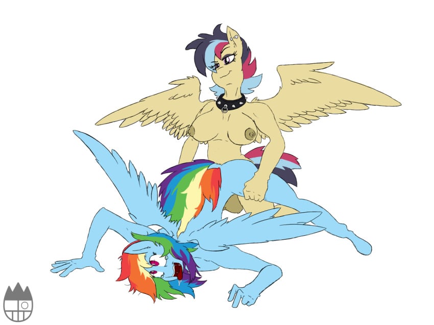 furry futanari intersex my_little_pony my_little_pony_friendship_is_magic no_humans pegasus rainbow_dash_(mlp) sanyo2100 smooth_skin