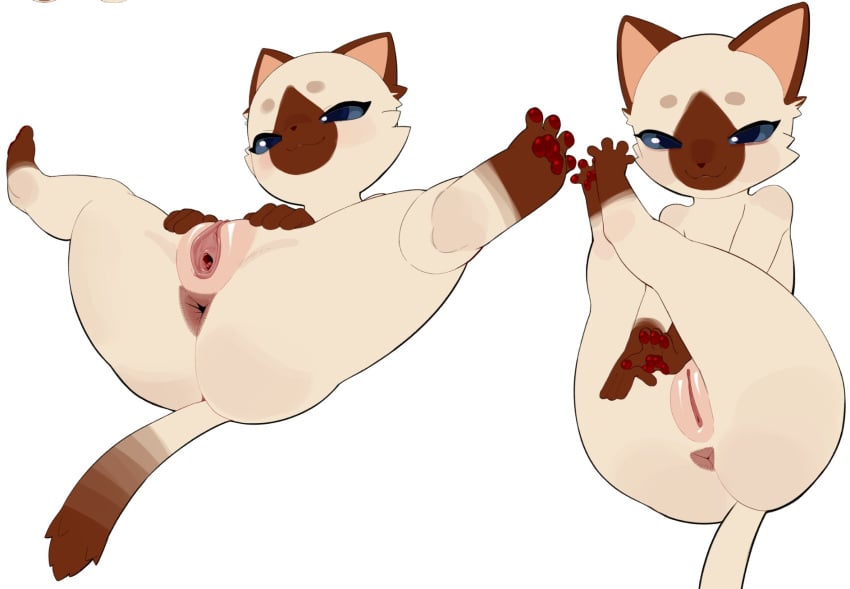 Anthro Rule 34 Image