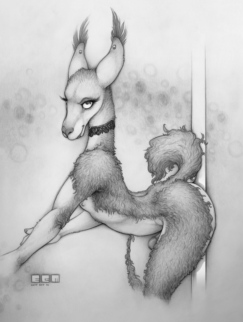 2017 anthro camelid choker ear_piercing ecmajor eyelashes fur greyscale guanaco hi_res looking_at_viewer male male_only mammal monochrome nipples nude pencil_(artwork) penis piercing pole portrait santiago smile solo stripper_pole three-quarter_portrait traditional_media_(artwork)