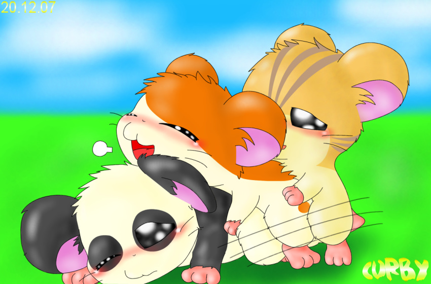 3boys blush curby hamtaro hamtaro_(series) panda_(hamtaro) sex stan_(hamtaro) tagme threesome