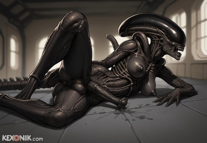 Alien (Franchise) Rule 34 Image
