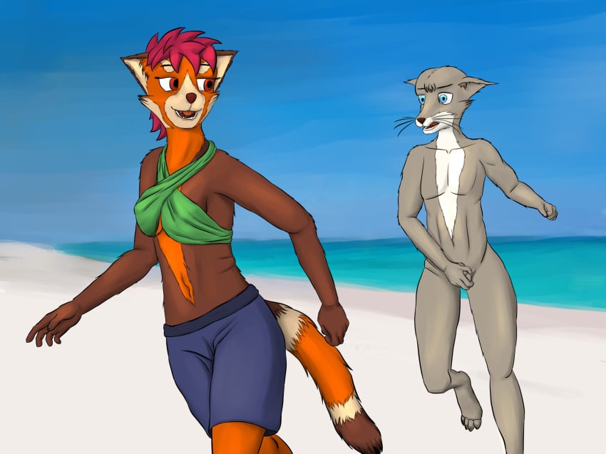 1boy animal_genitalia anthro arvaus beach bikini canine crossdressing embarrassed female female fox fur furry holding_penis male mei_(arvaus) naked penis public red_panda running sheath shorts steve_(arvaus) underboob