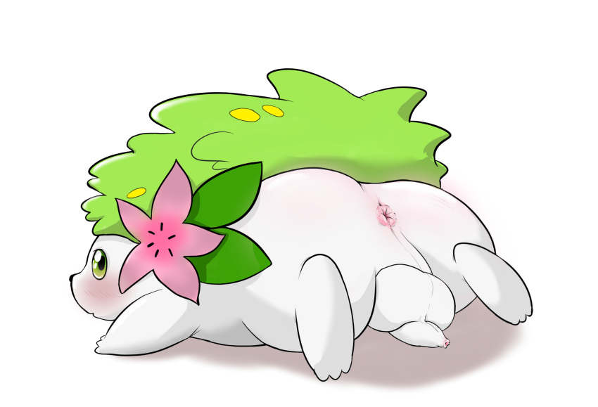 1boy 2018 anal anus ass blush duo feet furry hair hedgehog legendary_pokemon luckypupa male male_only nintendo nude penis pokémon_(species) pokemon pokemon_(species) pokemon_dppt shaymin simple_background solo testicles video_games white_background