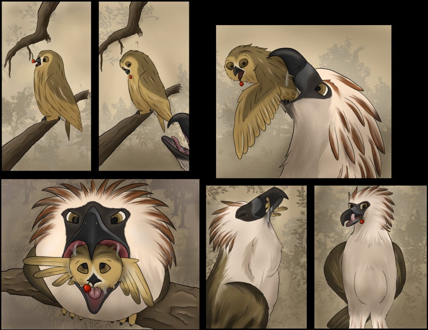 2018 ambiguous_gender avian beak belly bird brown_eyes cherry claws digital_media_(artwork) duo eagle feathers feral food fruit hi_res open_mouth oral_vore owl philippine_eagle pirate_eagle sequence size_difference skittishowl smile soft_vore talons tawny_owl tongue vore