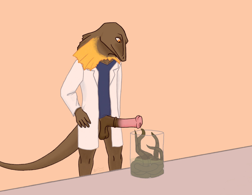 2018 animal_genitalia animal_penis balls clothed clothing equine_penis erection frilled_lizard horsecock lab_coat lizard male male_only penis qwaxi~lixard reptile scalie simple_background smile solo tentacle worm