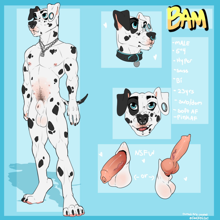 animal_genitalia animal_penis anthro balls bam bambii_dog canine canine canine_penis dalmatian ear_piercing facial_piercing gauged_ear hi_res humanoid_penis knot lip_piercing male mammal model_sheet multi_nipple nipple_piercing nipples nose_piercing nose_ring penis piercing sheath solo uncut