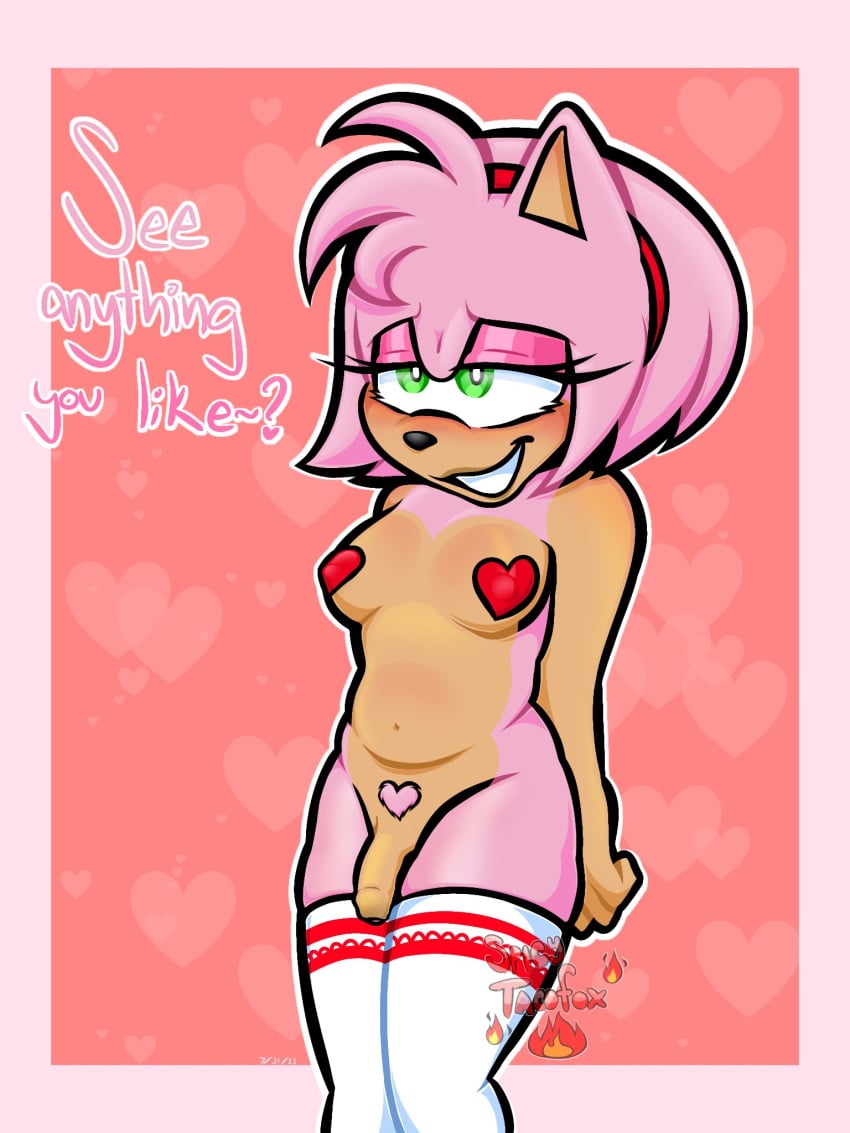 Amy Rose (Sonic (Series)) Rule 34 Image