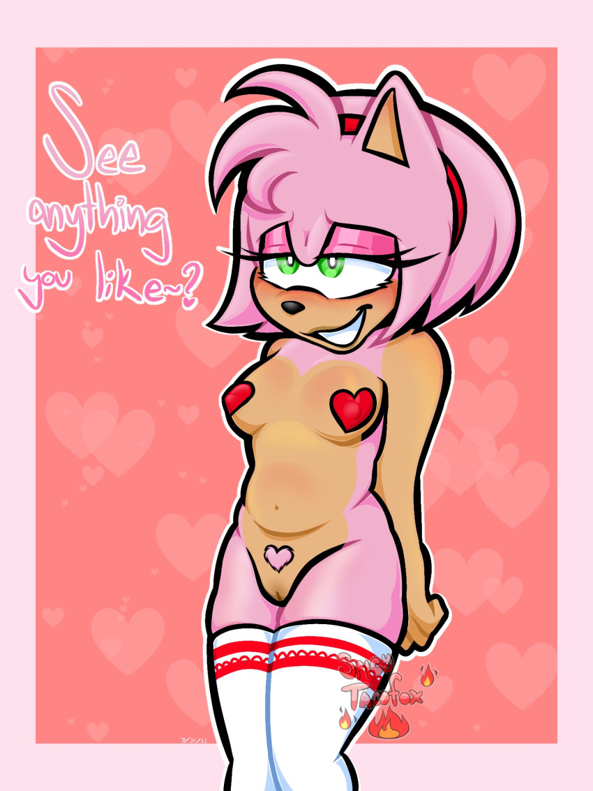 Amy Rose (Sonic (Series)) Rule 34 Image