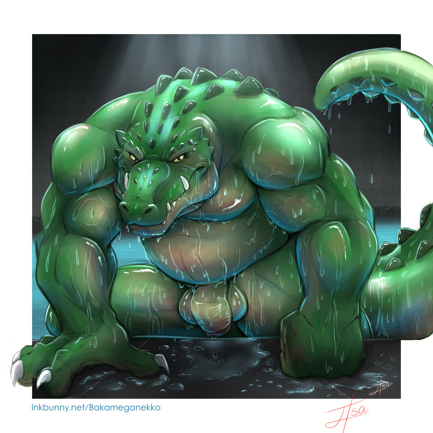 1boy alligator bakameganekko balls claws crocodilian flaccid humanoid_penis invalid_tag leatherhead looking_at_viewer male male_only musclegut muscular partially_retracted_foreskin penis reptile scalie slightly_chubby solo teenage_mutant_ninja_turtles uncut wet