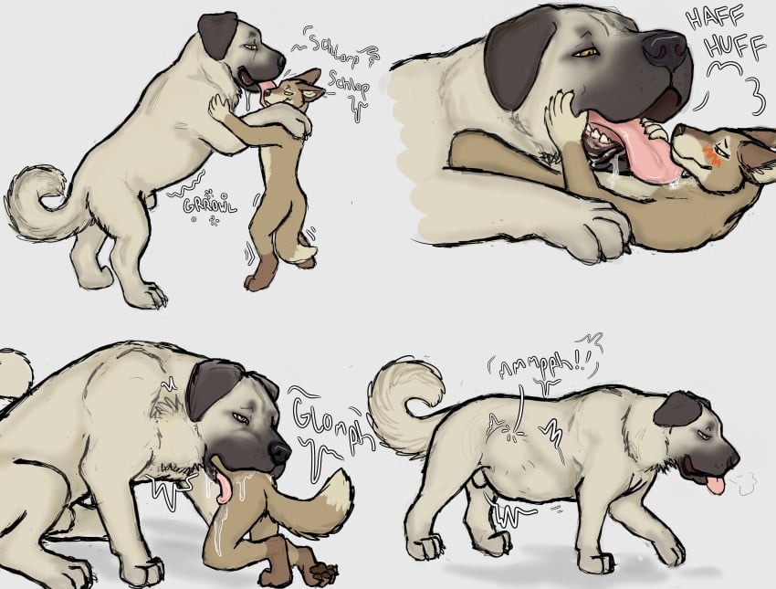 Anthro Rule 34 Image