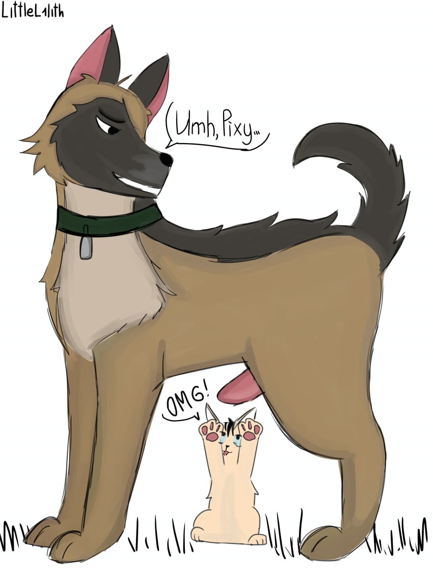 Brutus (Pixie And Brutus) Rule 34 Image