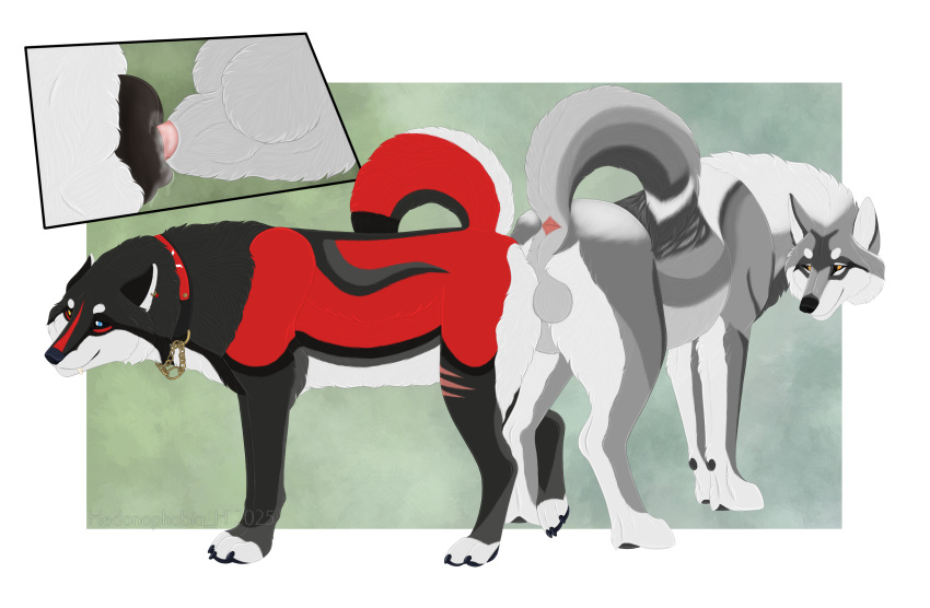 Keda (Yipsky) Rule 34 Image