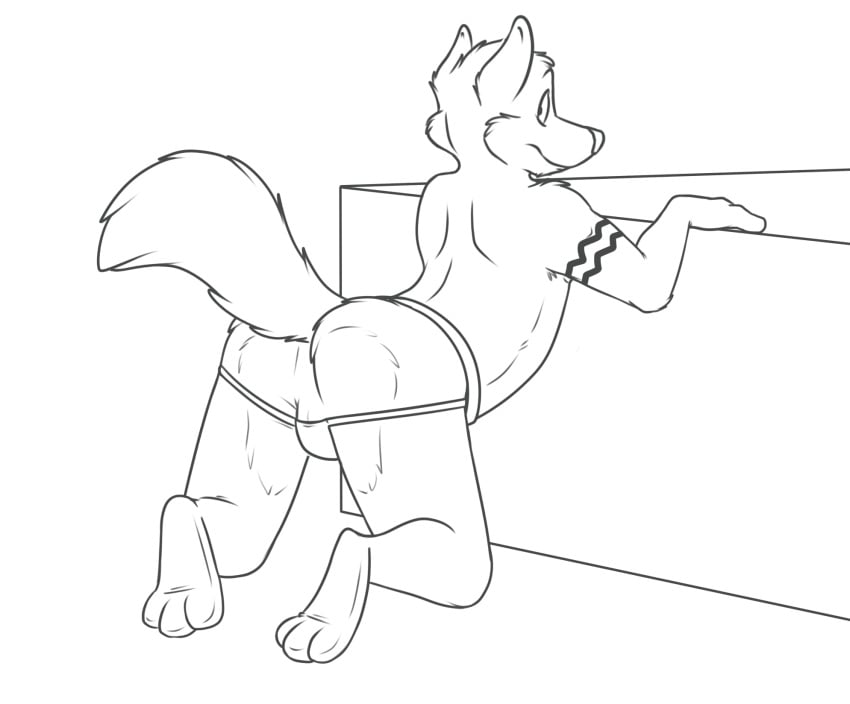 2015 3_toes anthro ass backsack balls bent_over bobbie canine clothing digital_media_(artwork) fluffy fluffy_tail fur hindpaw jockstrap line_art looking_back male male_only mammal monochrome paws presenting rotten_robbie simple_background smile solo toes underwear white_background wolf