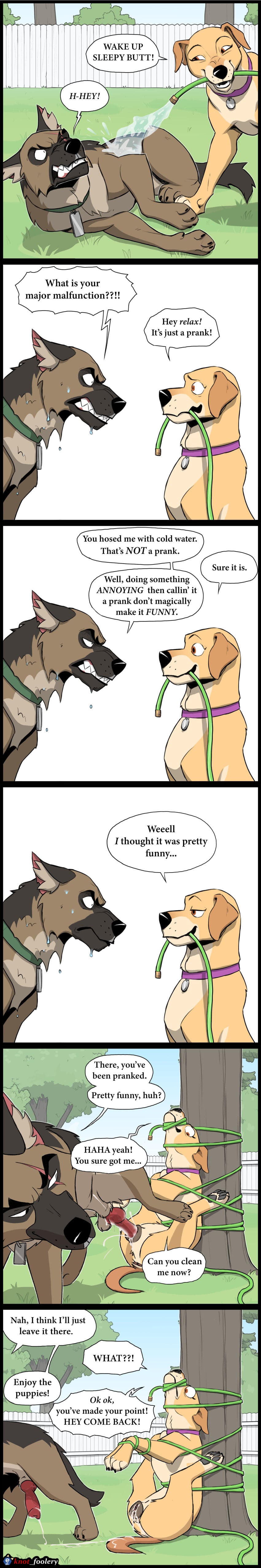 Brutus (Pixie And Brutus) Rule 34 Image