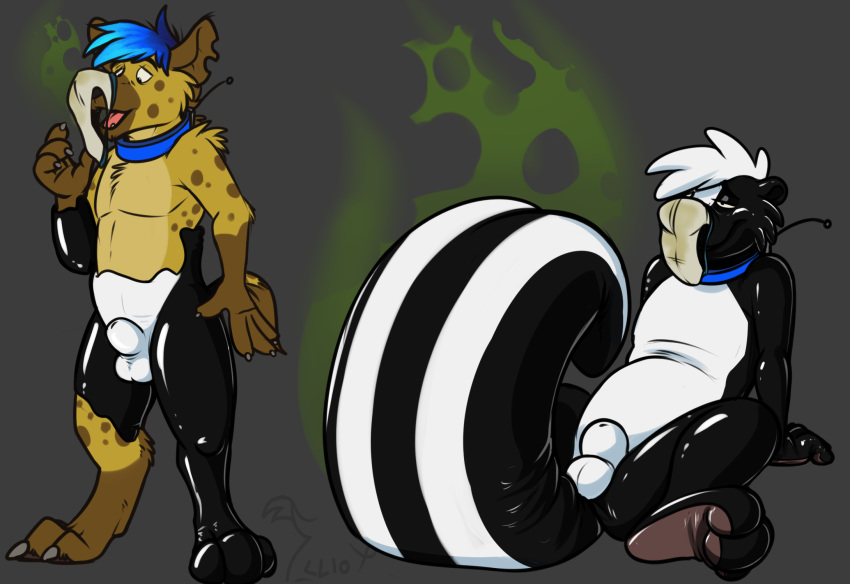 2016 3_toes 4_fingers anthro binturongboy black_nose blue_collar blue_hair brown_fur bulge claws clothing collar frisky-lime fur goo_transformation hair hairclaws half-closed_eyes hi_res hyena liquid_latex male male_only mammal multicolored_fur multicolored_tail musk nude open_mouth rubber sequence shiny simple_background sitting skunk smell solo spotted_hyena standing striped_tail stripes tail tan_fur toe_claws toes transformation underwear underwear_sniffing white_hair