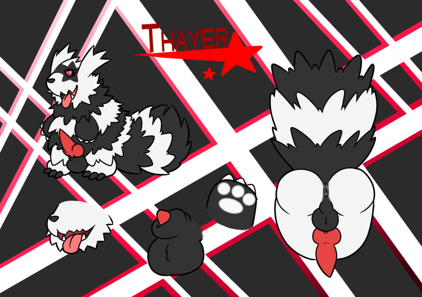 Galarian Zigzagoon (Nintendo) Rule 34 Image