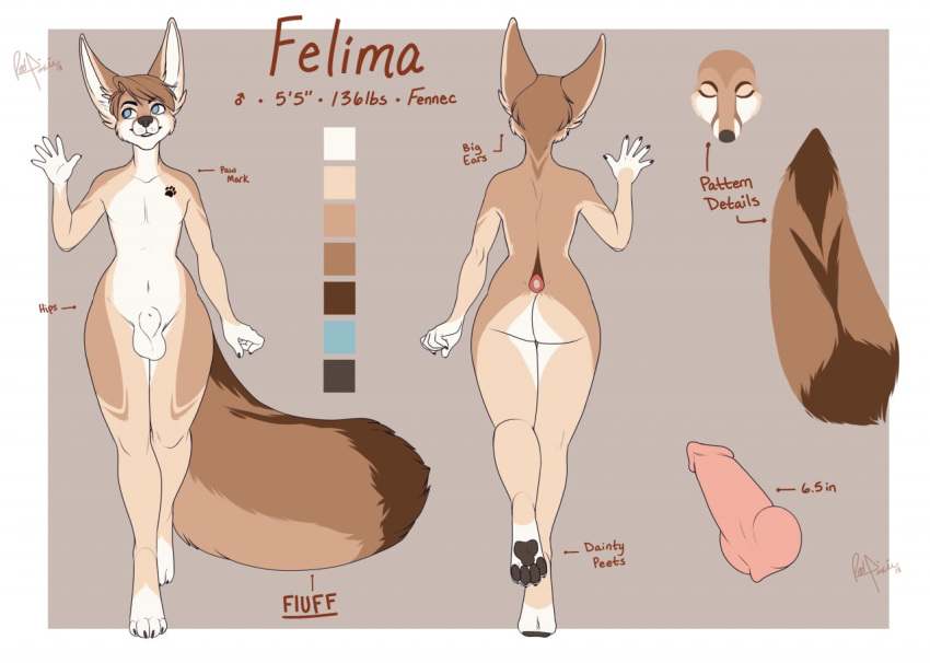 animal_genitalia animal_penis canine canine_penis erection felima_(character) fennec fox fur girly hair knot looking_at_viewer male mammal model_sheet penis redpixie solo thick_thighs wide_hips