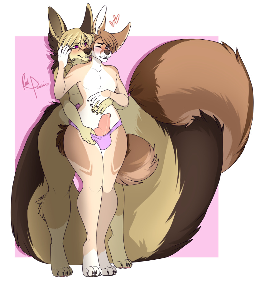 animal_genitalia animal_penis blush bulge canine canine_penis clothing erection felima_(character) fennec fox girly male mammal osiris_henschel panties penis redpixie underwear wide_hips yaoi