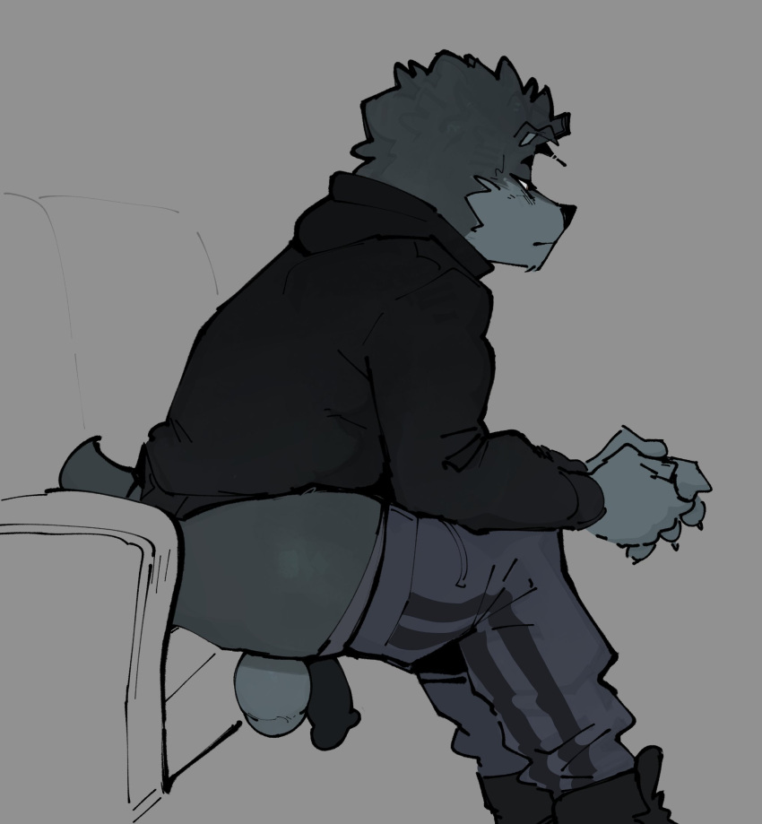 anthro balls biped canid canine canis clothing domestic_dog flaccid fur genitals goon_(goonie_san) goonie-san grey_body grey_fur hi_res hoodie male mammal penis side_view sitting solo topwear