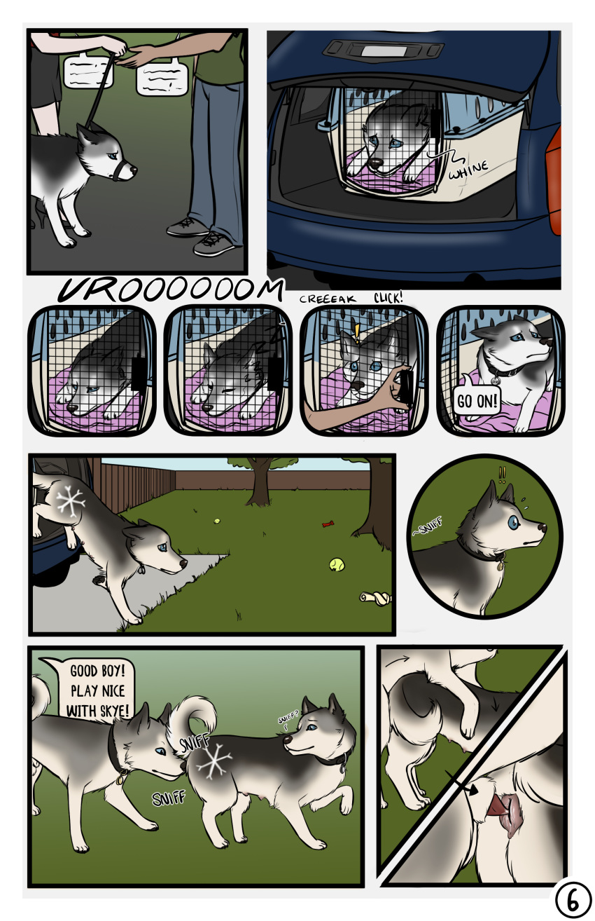 1boy 1girls animal_genitalia animal_pussy canine_pussy comic feral feral_on_feral forced from_behind_position furry human leash male_to_female mounting penis pussy scoot_moondog sex sheath skye_husky sniffing straight teats text the_dog_show toy transformation yard