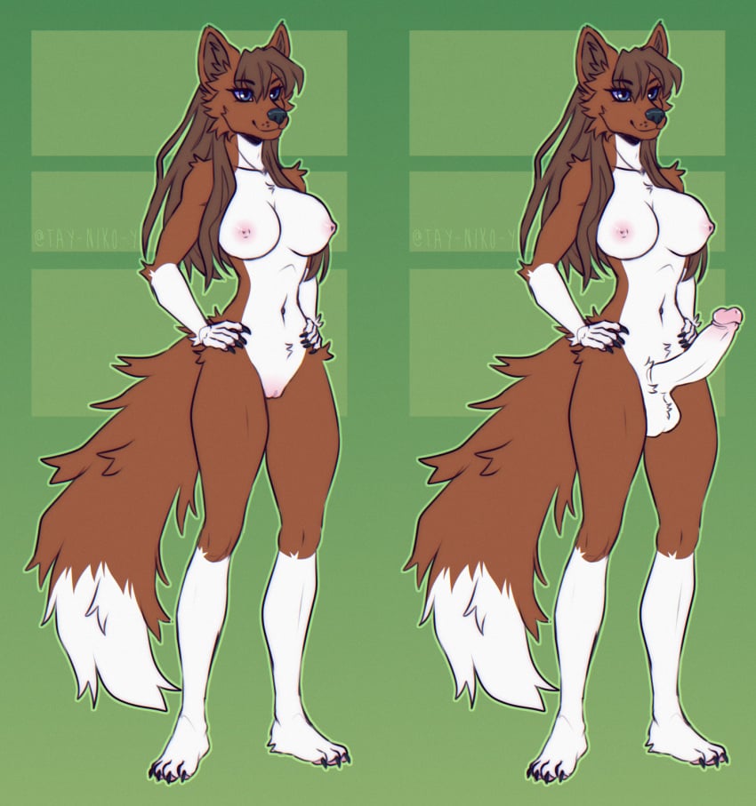 anthro big_breasts big_penis breasts canid canine canis domestic_dog female genitals herm hi_res intersex mammal penis solo tay-niko-y wolf