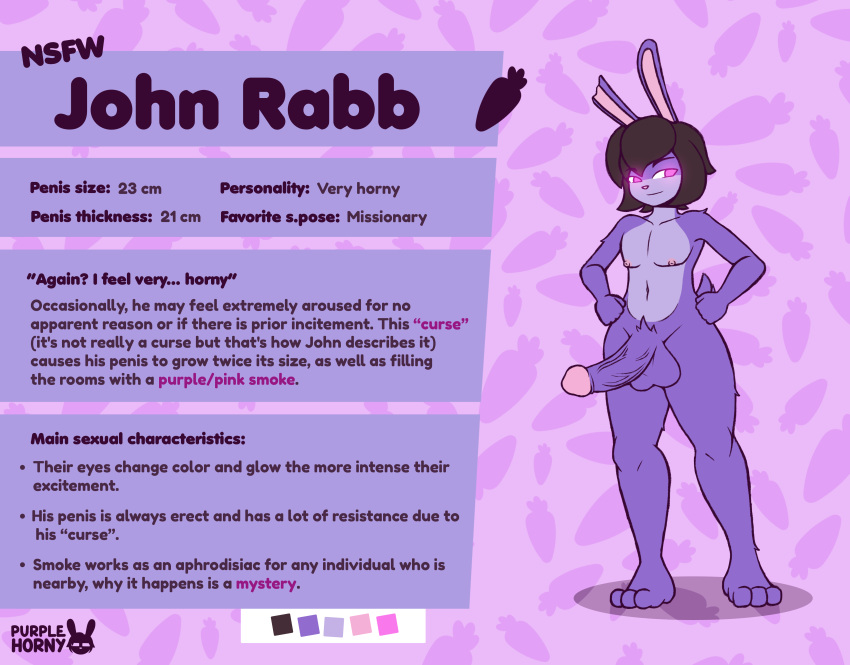 character_sheet furry furry_male furry_only huge_cock original_character penis rabbit rabbit_boy