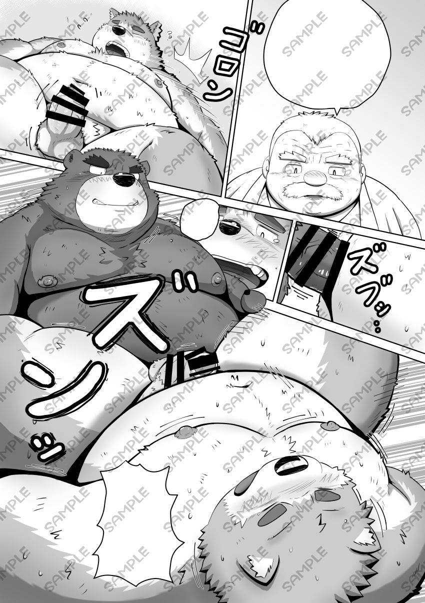 2025 absurd_res anal anthro balls bear belly big_belly canid canine canis distracting_watermark domestic_dog erection genitals group hi_res human japanese_text kemono kumajjjj male male/male mammal moobs nipples overweight overweight_male penis sample sex text watermark