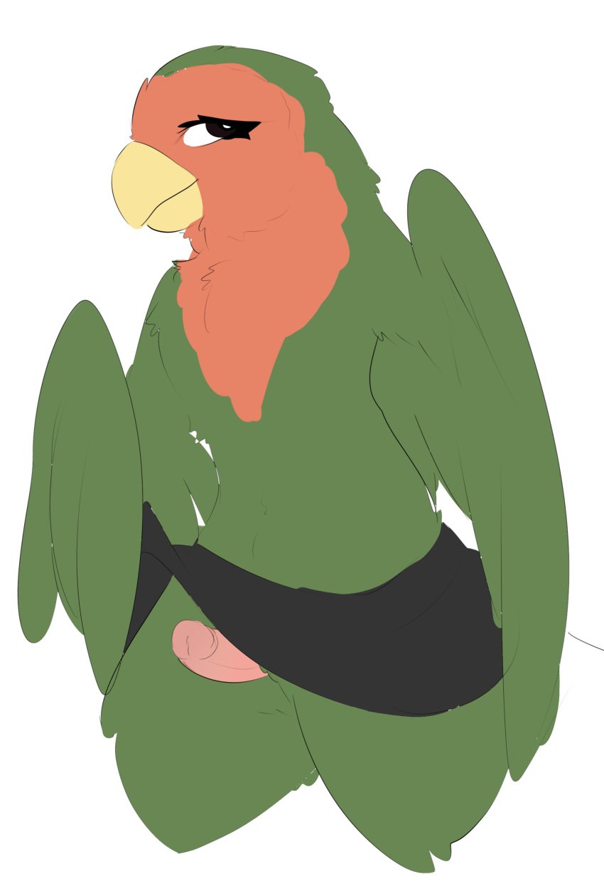 2018 anthro avian beak bird digital_media_(artwork) erection feathers fish-ears girly green_feathers humanoid_penis looking_at_viewer lovebird male parrot penis simple_background smile solo white_background