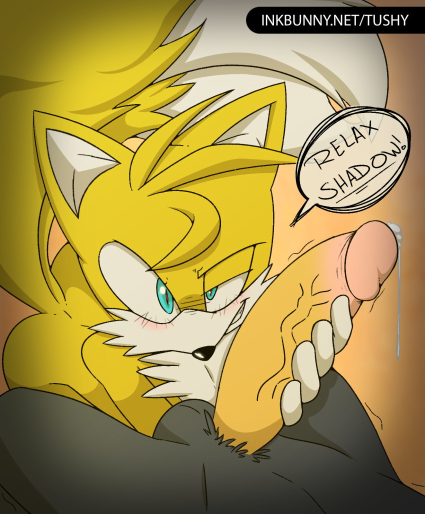 2boys balls blush imminent_sex naughty_face penis pov precum precum_string shadow_the_hedgehog sonic_(series) tails tushy_artist veiny_penis yaoi