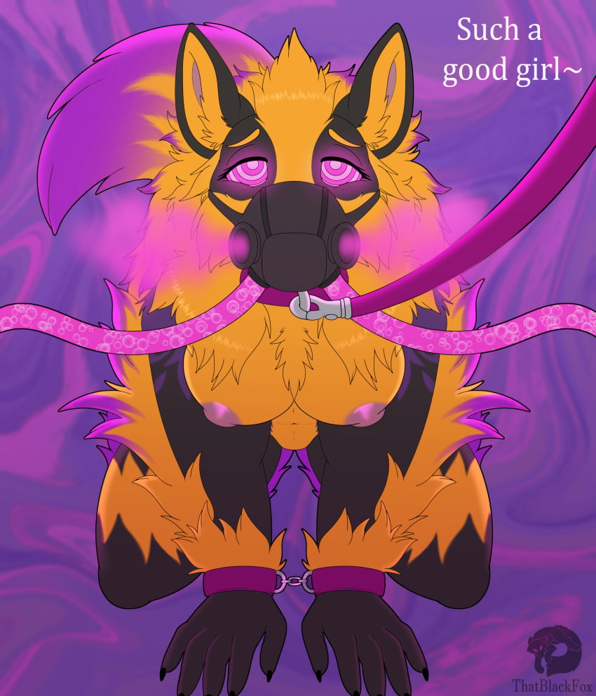 absurd_res anthro aphrodisiac aphrodisiac_gas aphrodisiac_mask arcanine begging begging_pose breasts collar cuff_(restraint) english_text female gas gas_mask generation_1_pokemon good_girl handcuffs hi_res hypnosis hypnotic_eyes kinktober kneeling leash mask metal_cuffs mind_control nintendo nipples pokemon pokemon_(species) pose praise praise_kink restraints solo submissive submissive_anthro submissive_female text thatblackfox_(artist)