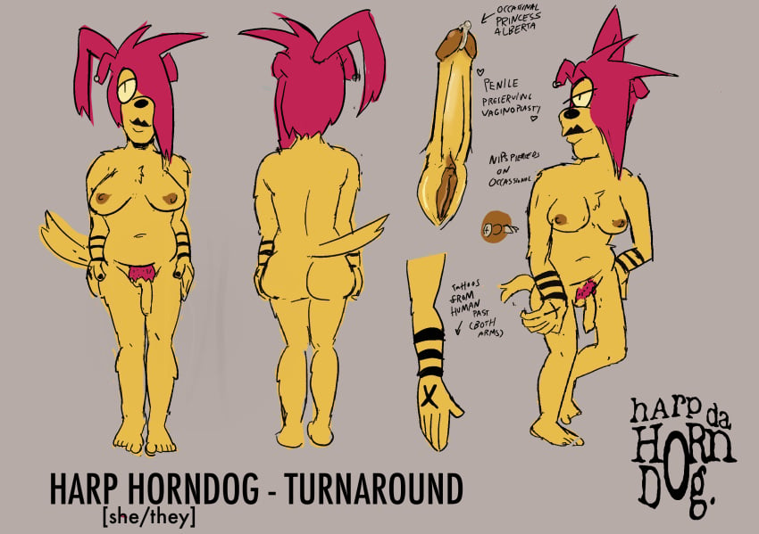 anthro ass breasts canid canine canis domestic_dog ear_piercing fur genital_piercing genital_scar genitals gynomorph hair harp_(harpdahorndog) harpdahorndog hi_res intersex mammal model_sheet nipples nude nude_anthro piercing red_hair scar smile tattoo trans_(lore) trans_woman_(lore) turnaround vaginoplasty vaginoplasty_scar yellow_body yellow_fur