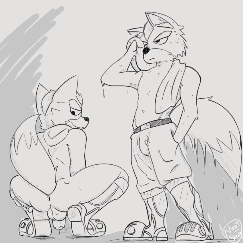 Fox Mccloud (Nintendo) Rule 34 Image