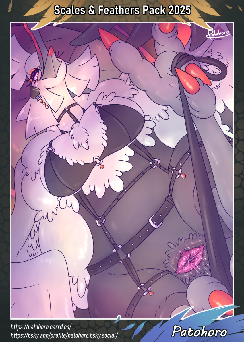 Bombirdier (Nintendo) Rule 34 Image