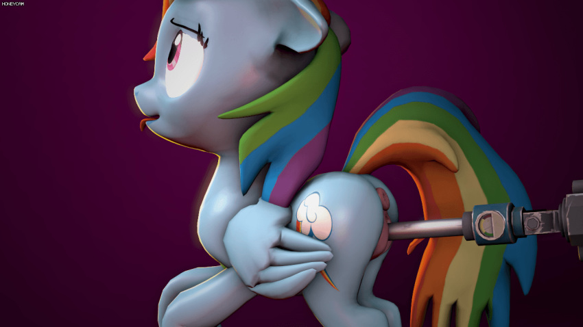 3d 3rd_party_watermark animated anus cutie_mark equine female feral fishimira friendship_is_magic gif loop machine mammal my_little_pony pegasus penetration pussy rainbow_dash_(mlp) sex sex_machine size_difference source_filmmaker vaginal_penetration watermark wings