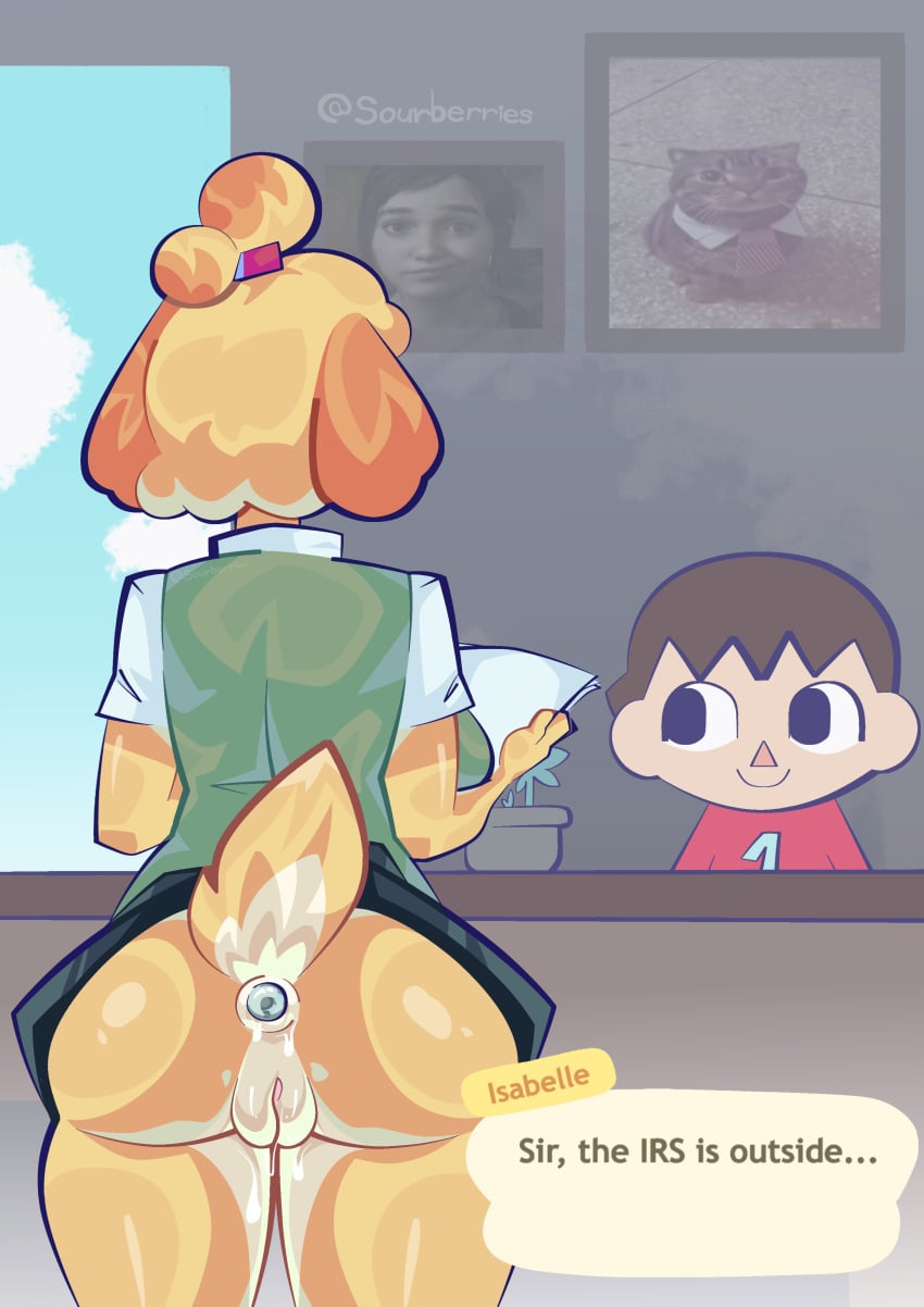 Isabelle (Animal Crossing) Rule 34 Image