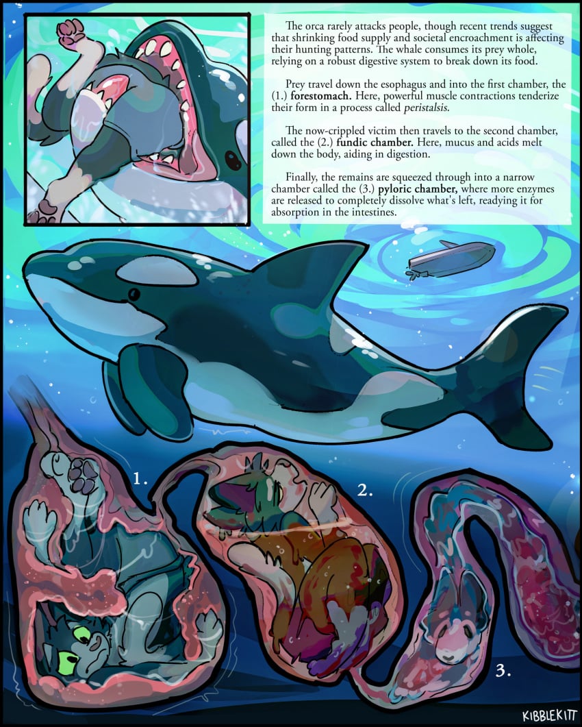 Digital Drawing (Artwork) Rule 34 Image