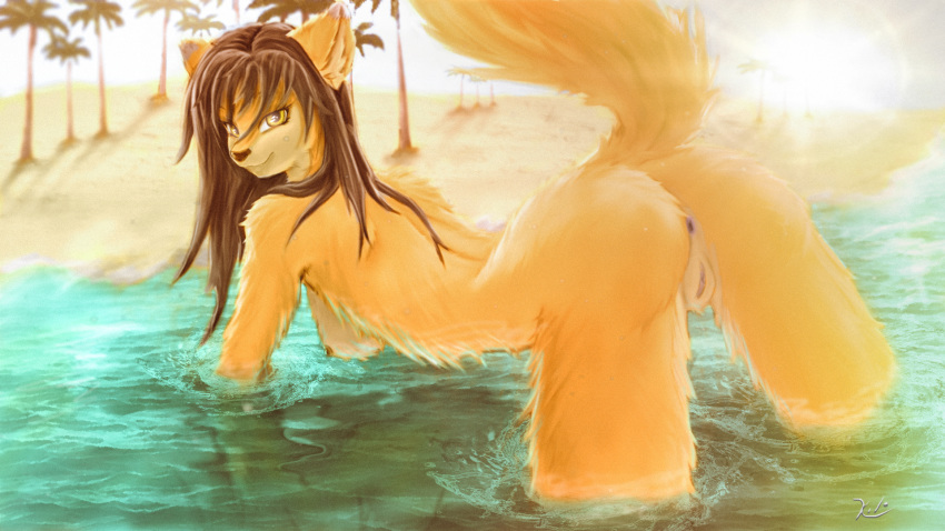 all_fours anthro anus beach breasts canine doggy_style female fox from_behind_position horny_(disambiguation) invalid_tag kiloart mammal mei nipples pussy seaside sex short solo wet