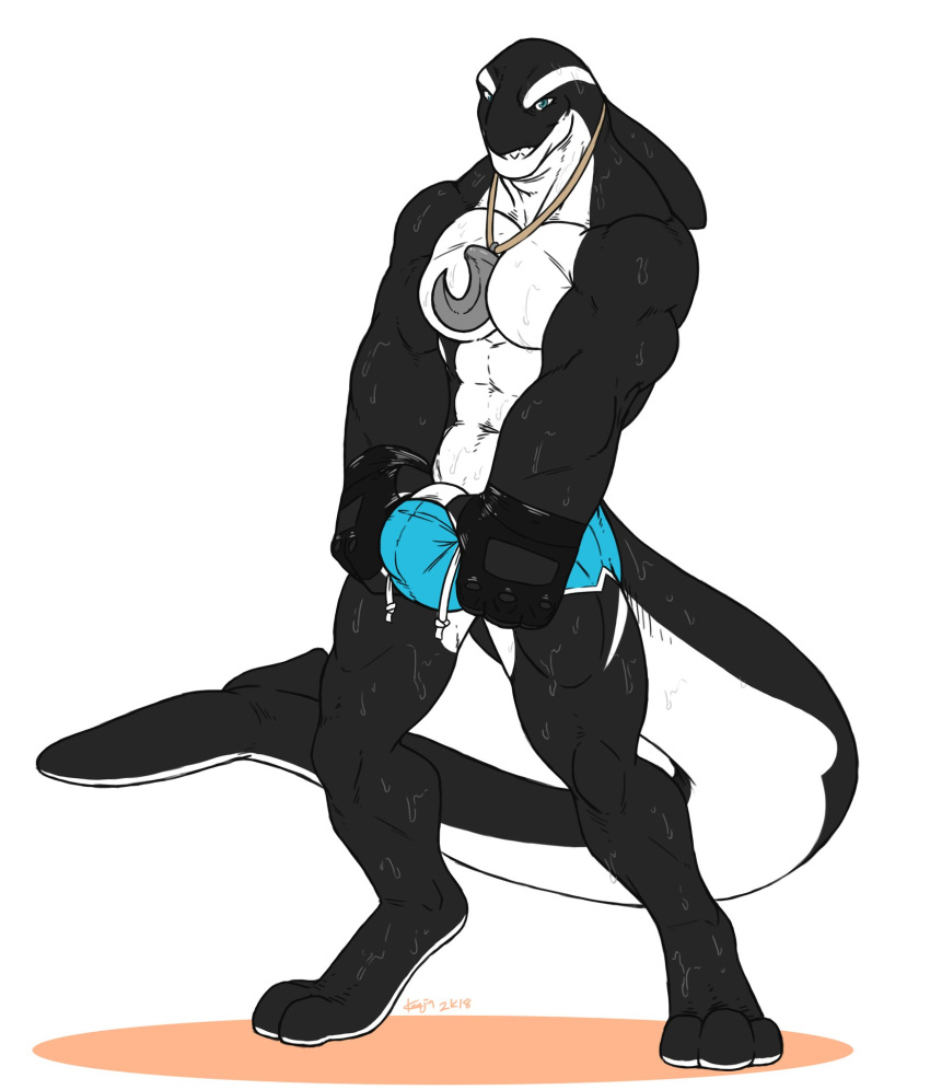 anthro bulge cetacean clothed clothing fingerless_gloves gloves hook jewelry kenjin looking_at_viewer male male_only mammal marine muscular muscular_male necklace orca penis smile solo standing swimsuit topless wet whale