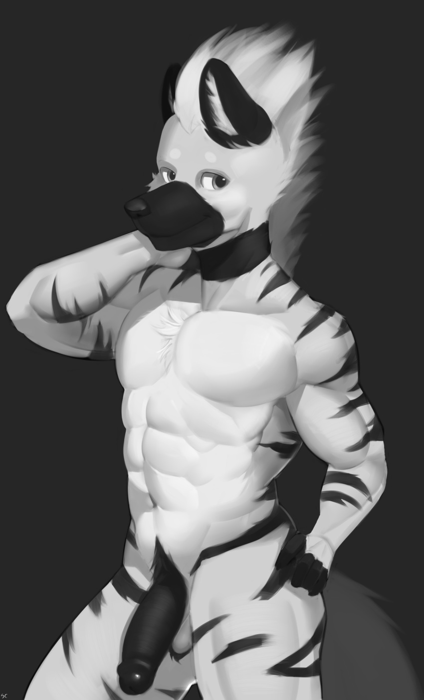 2018 abs anthro balls belly biceps black_fur black_nose black_penis blake_(hyunidae) digital_media_(artwork) ear_tuft fishboner_(artist) flaccid fur greyscale hair hand_behind_head hi_res hyena male male_only mammal monochrome muscular muscular_male navel nude pecs penis pose pubes simple_background smile solo standing striped_hyena stripes tuft white_fur white_hair