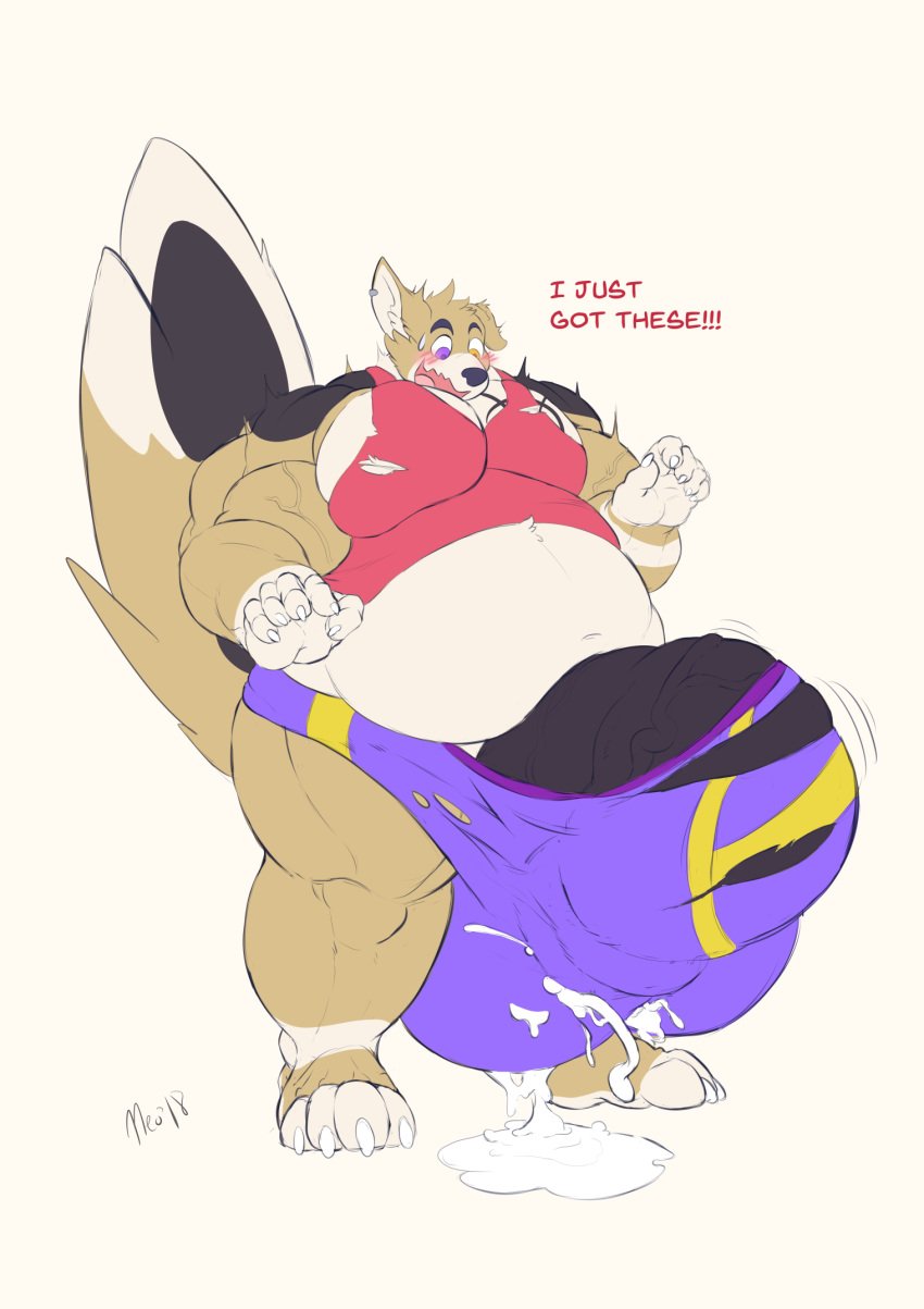 balls big_balls big_penis canine clothing corgi cum excessive_cum hyper isshou mammal messy neokandra obese overweight penis ripping simple_background