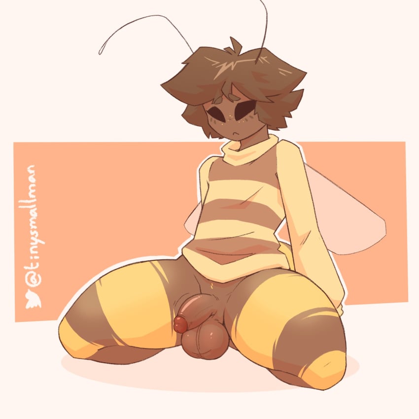 absurd_res antennae_(anatomy) anthro arthropod balls bee black_eyes bottomless brown_hair clothed clothing femboy flaccid freckles genitals glans hair hi_res humanoid_genitalia humanoid_penis hymenopteran insect_wings insects kneeling long_sleeve_shirt male mazus_(tinysmallman) no_pupils pattern_clothing pattern_shirt pattern_topwear penis shirt shirt_only solo striped_clothing striped_shirt striped_topwear stripes thick_thighs tinysmallman topwear topwear_only wings