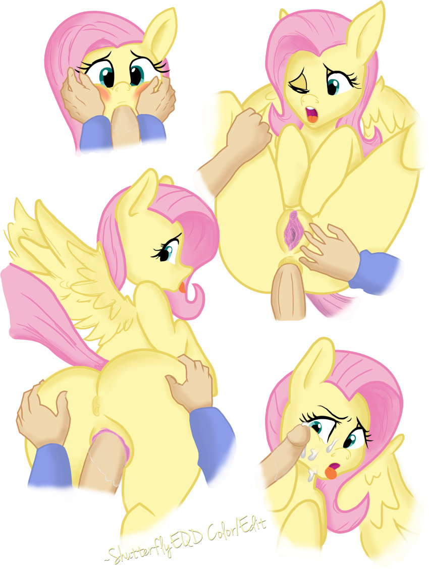 2015 alpha_channel anal anal_sex anus ass big_butt cum cum_on_face duo equine erection feathered_wings feathers fellatio fellatio_from_feral female feral fluttershy_(mlp) friendship_is_magic highres human human_on_feral humanoid_penis interspecies l male male_human/female_feral male_on_feral male_penetrating mammal my_little_pony oral oral_penetration pegasus penetration penis pussy sex shutterflyeqd simple_background solo_focus straight transparent_background vaginal_penetration vd-dv wings yellow_feathers zoophilia