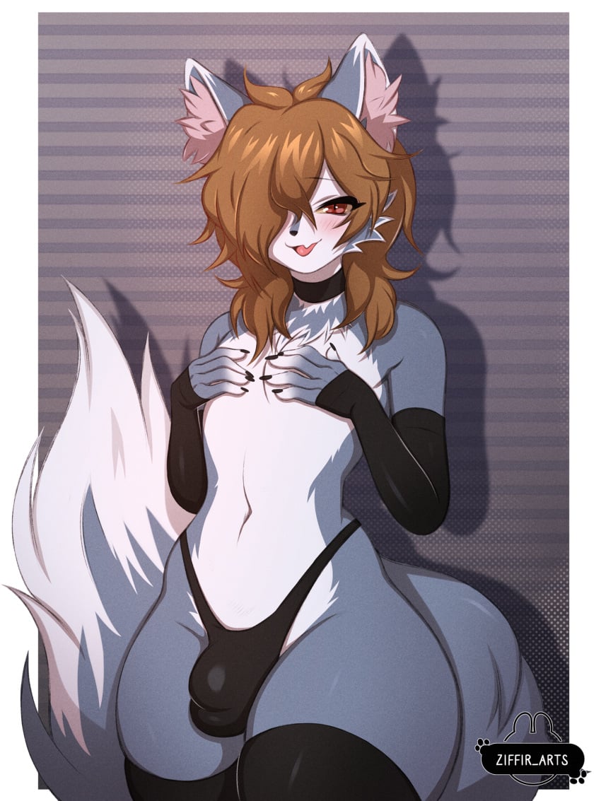 anthro blush brown_hair bulge canid canine clothed clothing covering covering_self detailed_bulge femboy fur genital_outline grey_body grey_fur hair hair_over_eye hi_res legwear male mammal open_mouth open_smile panties penis_outline smile thigh_highs topless underwear ziffir