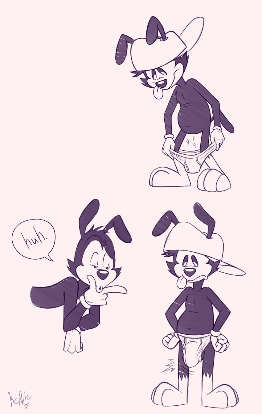 absurd_res amblin_entertainment animaniacs animaniacs_(2020) anthro balls big_bulge brother_(lore) bulge cartoon_physics clothing featureless_crotch genitals hat headgear headwear hi_res hulu kcnite male mammal monochrome sibling_(lore) tongue underwear wakko_warner warner_bros warner_brothers yakko_warner