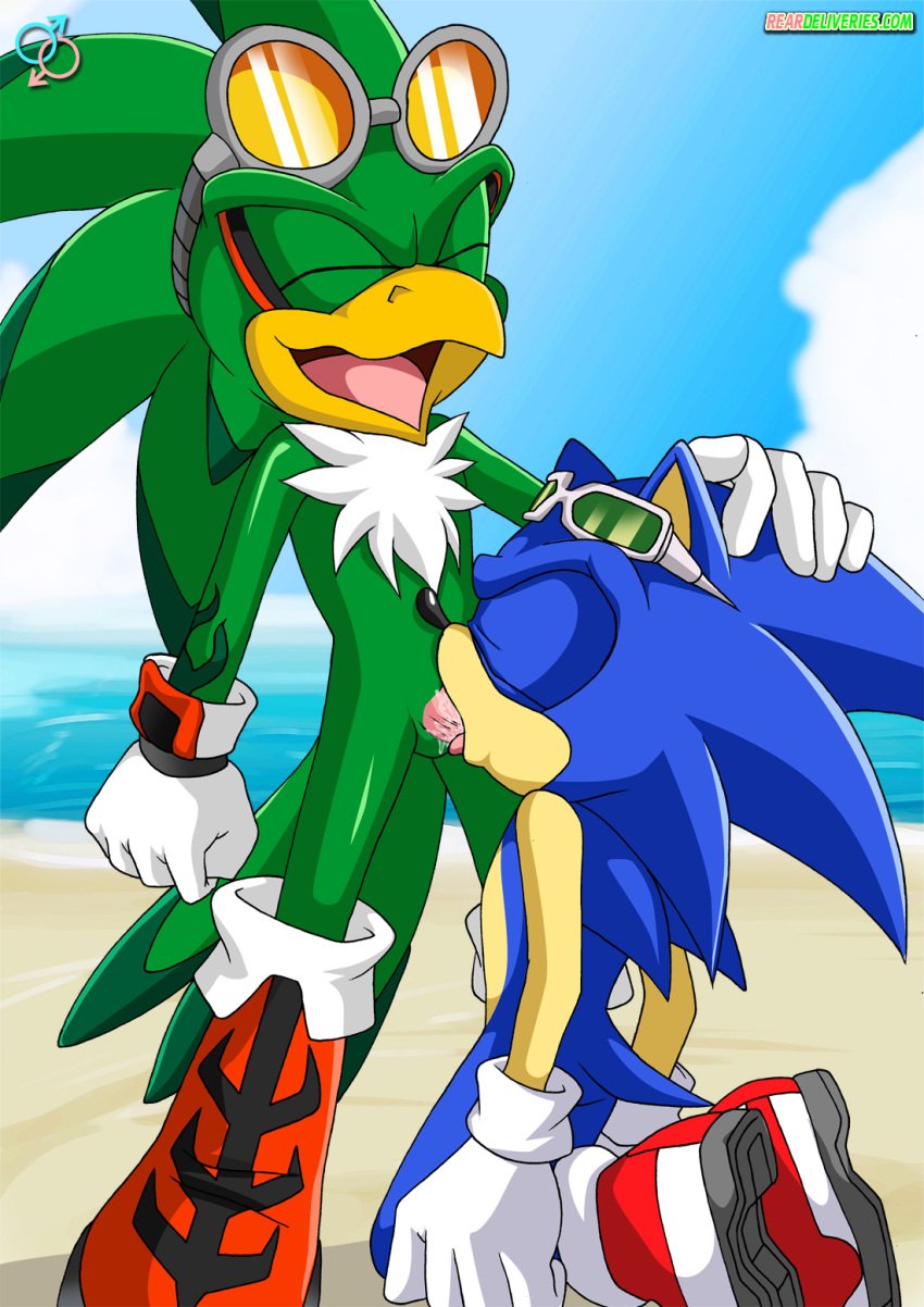 cum fellatio gay jet_the_hawk palcomix penis rear_deliveries sonic_(series) sonic_the_hedgehog sonic_the_hedgehog_(series) tagme yaoi