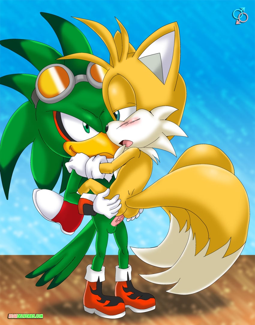 anthro fur furry furry_tail highres jet_the_hawk male male_only multiple_males multiple_tails palcomix rear_deliveries sonic_(series) tagme tail tails yaoi