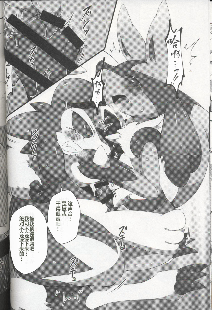 2boys canine censor_bar censored comic furry gay interspecies kurohane_karasu lucario lycanroc male male_only mammal midnight_lycanroc monochrome nintendo pokemon pokemon_(species) pokemon_dppt pokemon_usm sex text translation_request video_games