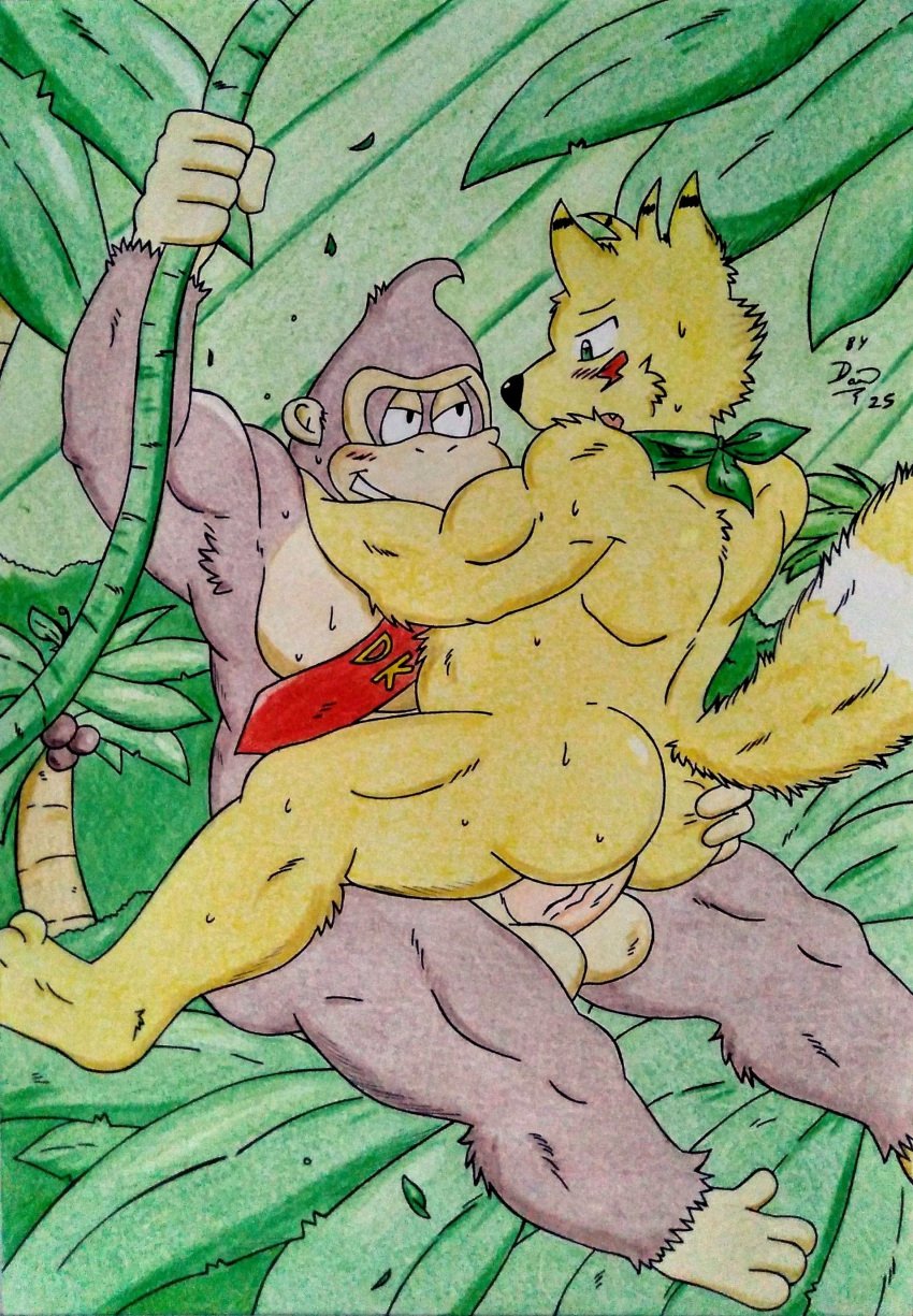 2025 5_fingers absurd_res anal anal_sex anthro ape armpit_tuft ass balls barazoku bedroom_eyes belly biceps big_muscles big_pecs blush blush_lines bodily_fluids brown_body brown_fur canid canine dashfox dashthefox donkey_kong_(character) donkey_kong_(series) duo facing_each_other fingers fluffy fluffy_tail forest fox fur genitals gorilla green_eyes green_kerchief haplorhine hi_res holding_butt jungle jungle_background kerchief long_tail male male/male mammal manly monkey_feet mostly_nude multicolored_body multicolored_fur musclegut muscular muscular_anthro muscular_arms muscular_legs muscular_male narrowed_eyes nature nature_background neckerchief necktie necktie_only neckwear nintendo nude palm_tree pecs penetration penis plant primate red_necktie seductive sex sweat sweatdrop sweaty_butt sweaty_chest swing swinging tail thick_penis traditional_media_(artwork) tree tuft vein veiny_penis vines yellow_body yellow_fur