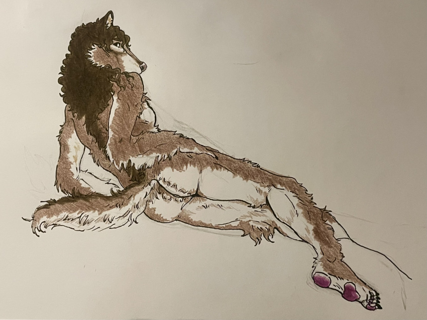 ambiguous_gender anthro arm_hair ass barefoot body_hair breasts brown_body brown_fur canid canine canis claws feet fluffy fluffy_tail forearm_hair forearms fur futanari gynomorph hi_res humanoid_feet intersex long_legs long_nails lying makoyi_(makoyino) makoyino mammal nails neck_tuft nude_anthro on_side pawpads plantigrade plantigrade_pawpads presenting presenting_hindquarters rear_view simple_background small_breasts solo solo_focus tail traditional_media_(artwork) trans_(lore) trans_woman_(lore) tuft white_body white_fur wolf